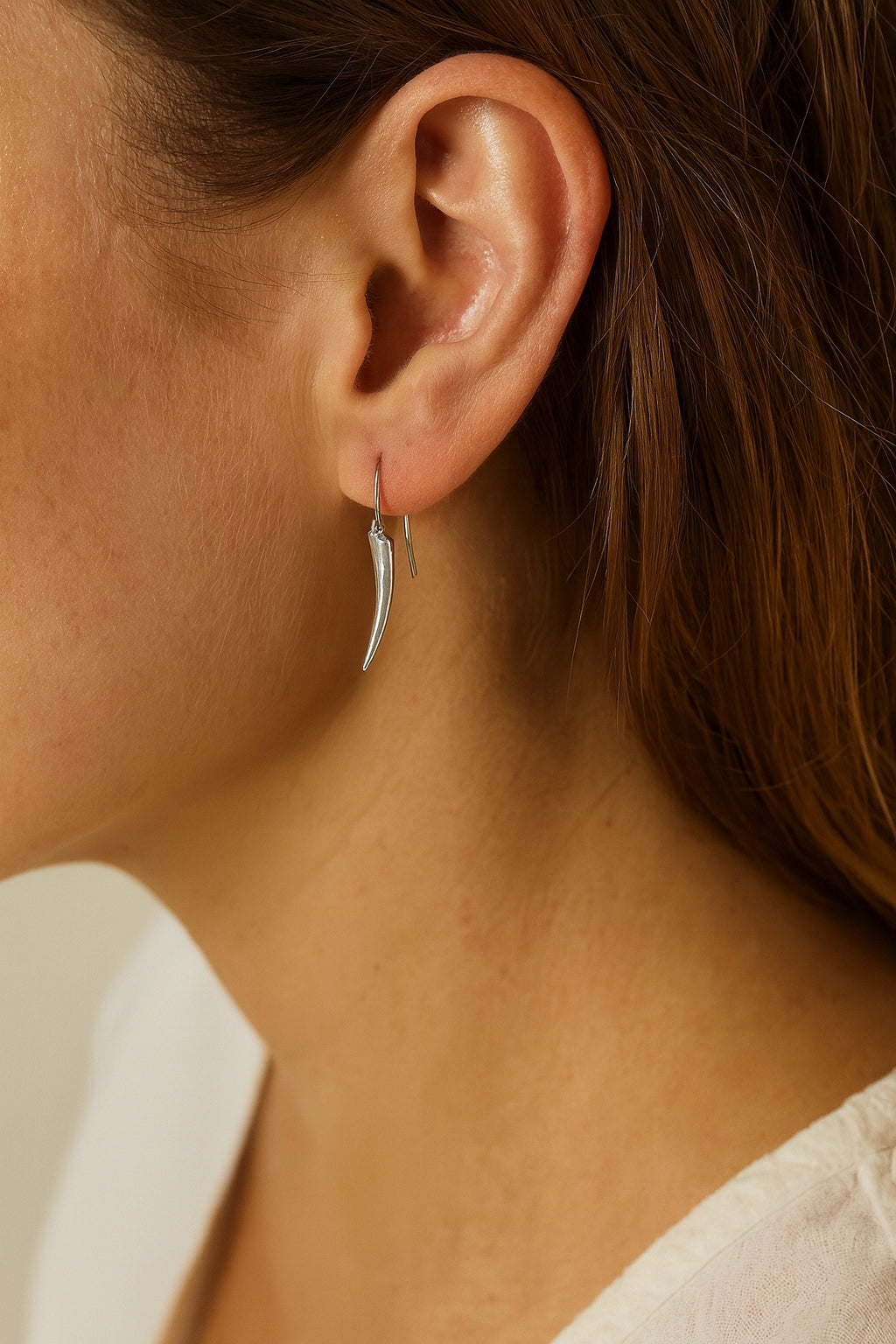 Stainless Steel Silver Hook Earrings