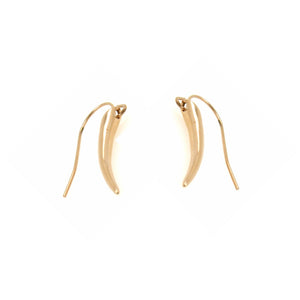 Stainless Steel Rose Gold Hook Earrings