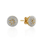 9ct Yellow Gold Diamond  Earrings 1/2ct TW