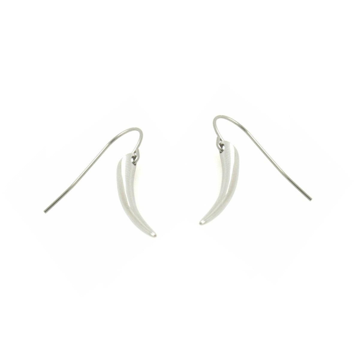 Stainless Steel Silver Hook Earrings