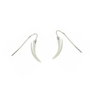 Stainless Steel Silver Hook Earrings