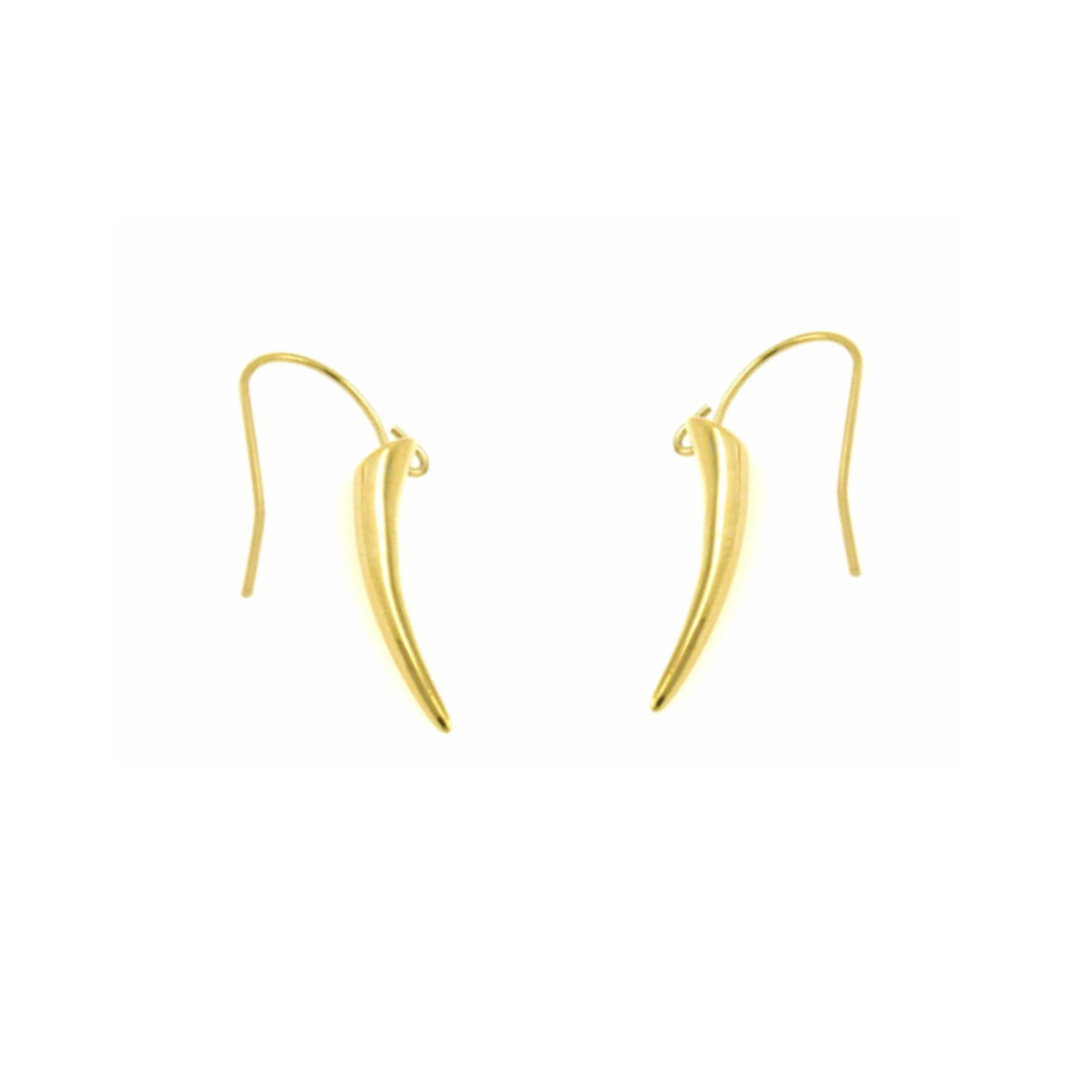 Stainless Steel Gold Hook Earrings